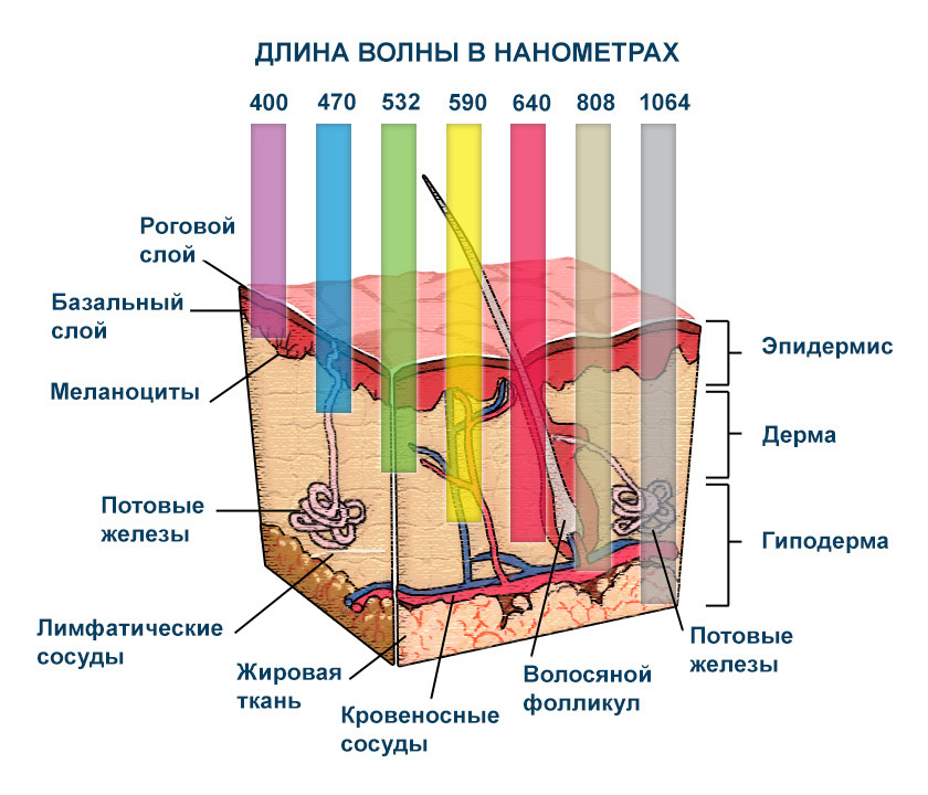 Заголовок