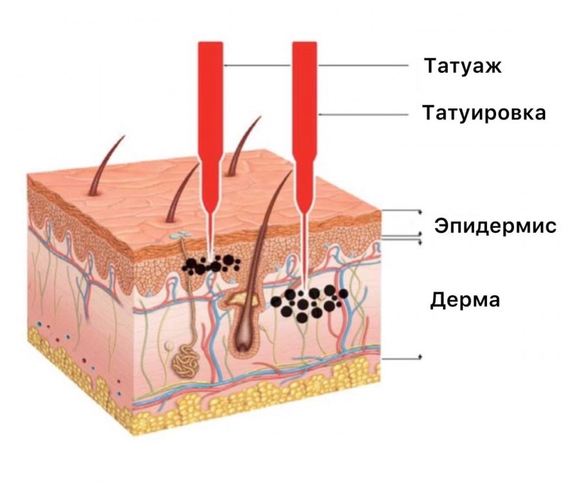 Какая глубина необходима для нанесения татуировки?